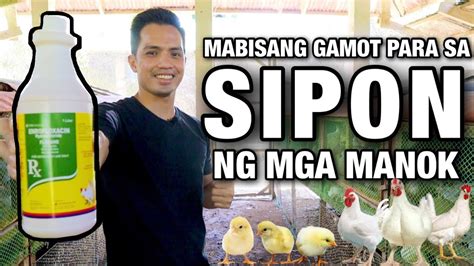 gamot para sa sipon ng manok|MABISANG GAMOT PARA SA SIPON NG MGA .